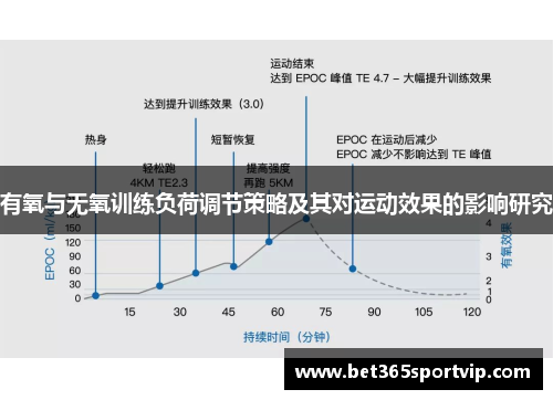 有氧与无氧训练负荷调节策略及其对运动效果的影响研究